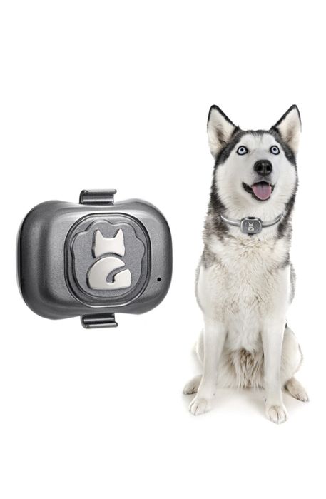 GPS трекер ( собаки,кошки )