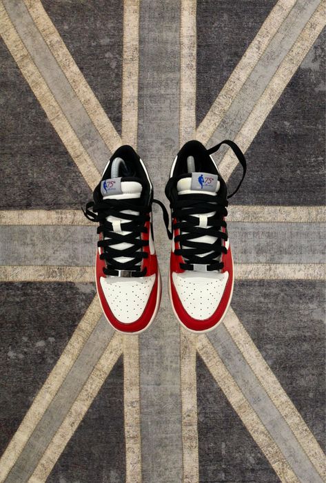 Dunk Low Retro EMB NBA 75th Anniversary chicago Bulls