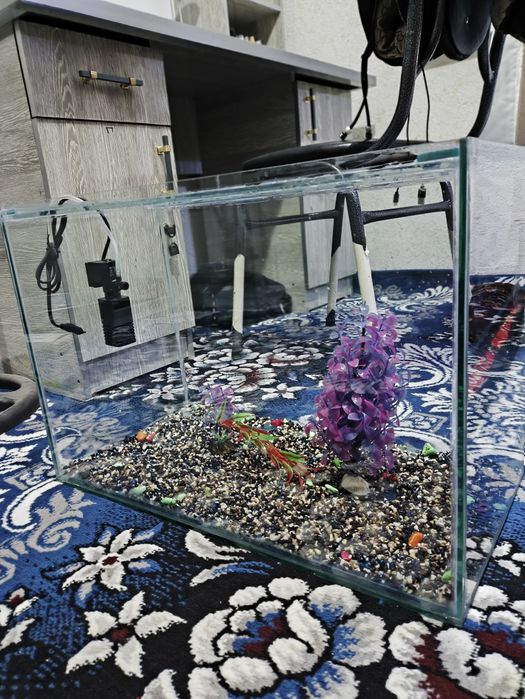 Akvarium sotiladi razmeri 60 ga 40 Eni 30 sm