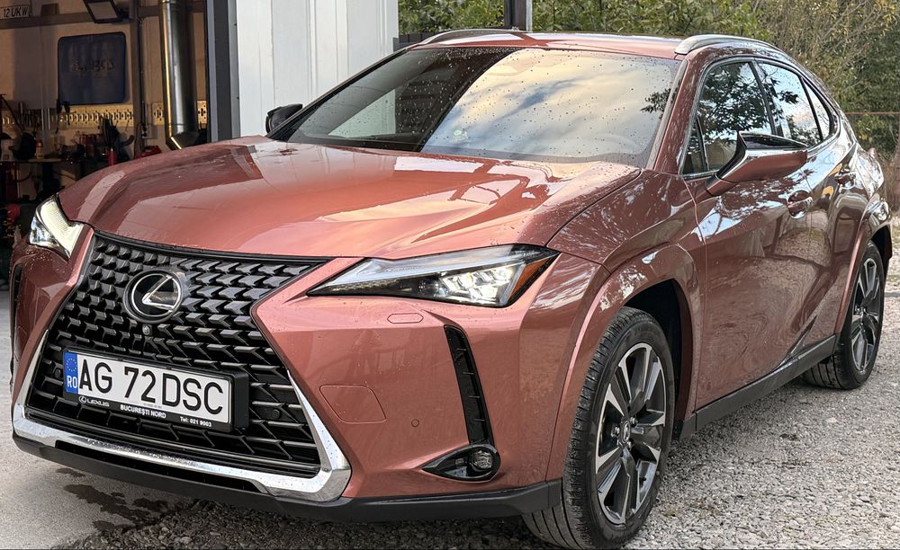 Lexus UX300h Luxury AWD