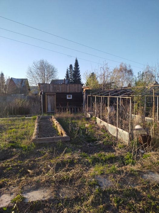 Подам дачу с/о Колос