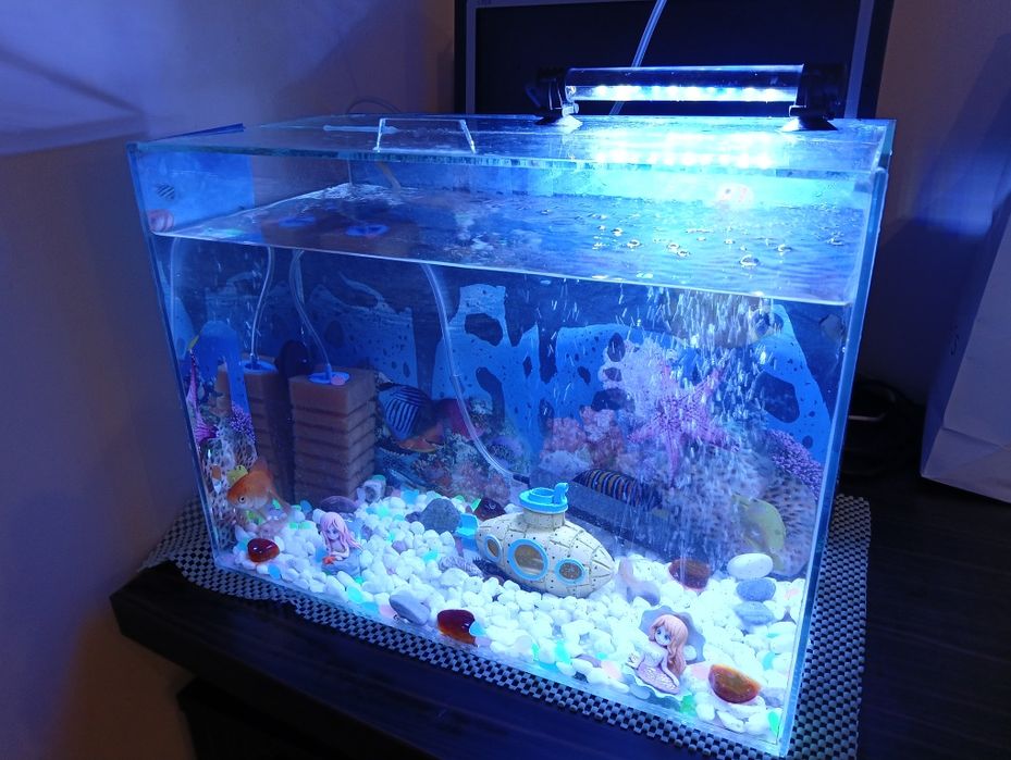 Аквариум 25 литра Действащ