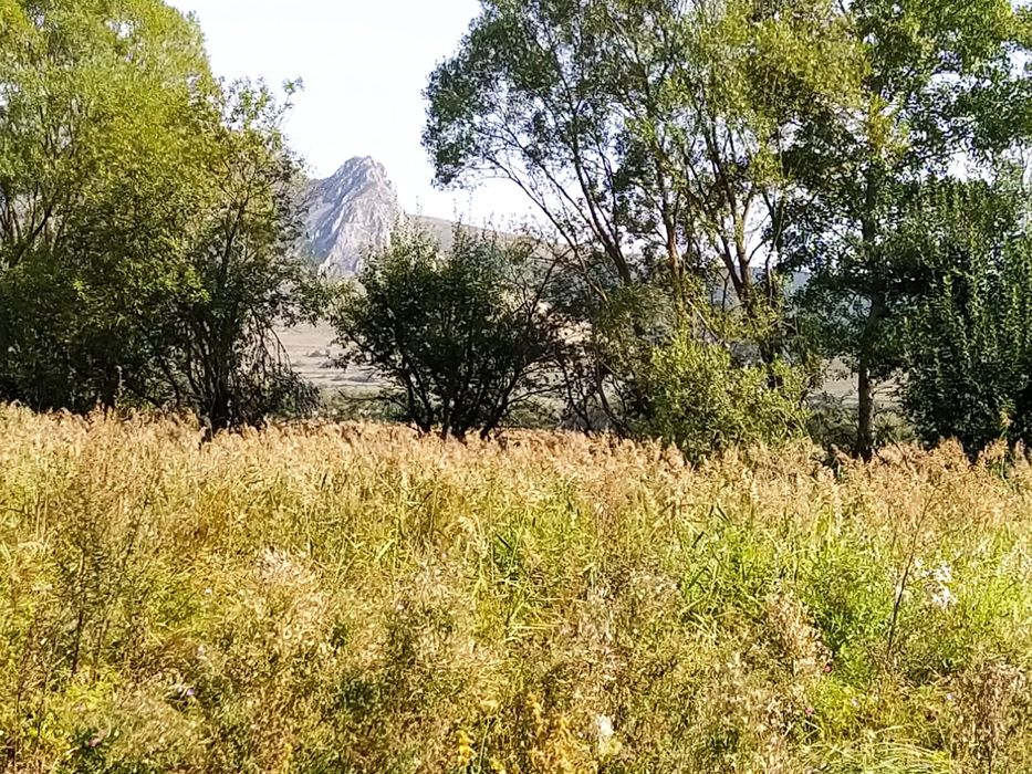 Teren Coltesti 24200 mp