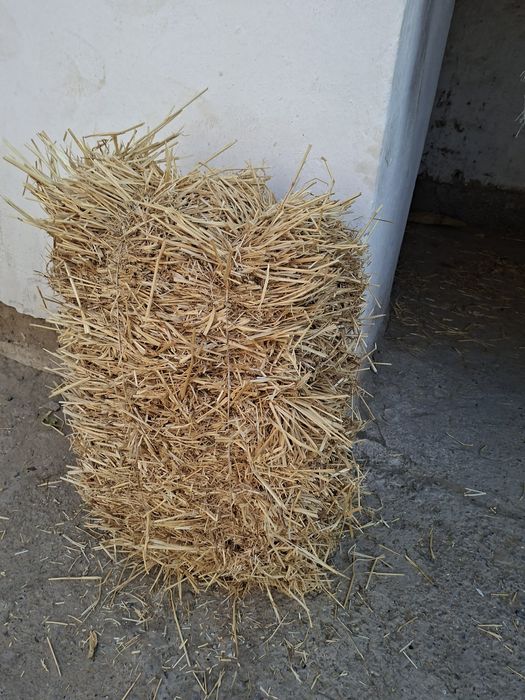 Бидай саман малга