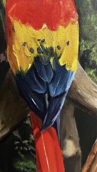 Картина „попугаи“ и „в траве“