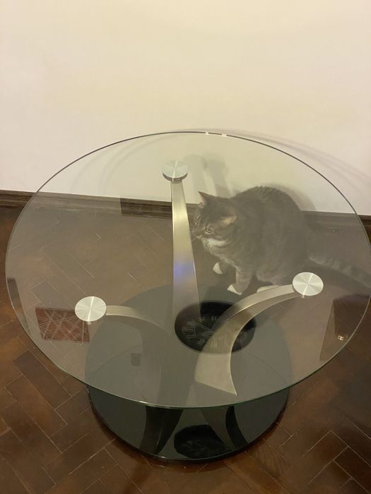 Masa din sticla pentru living