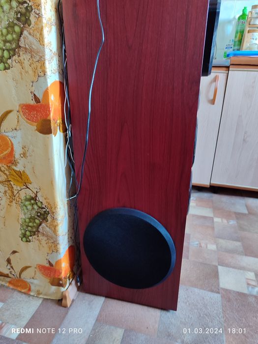 Акустическая система ELTRONIK 20-80