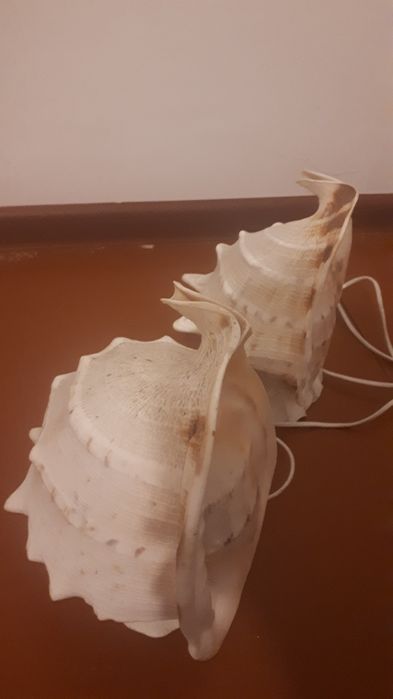 Светильники в форме ракушек