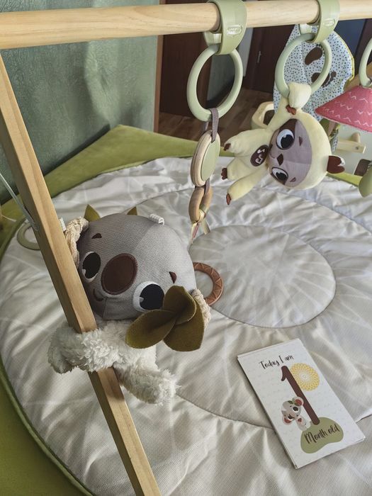 Активна гимнастика Tiny Love Boho Chic