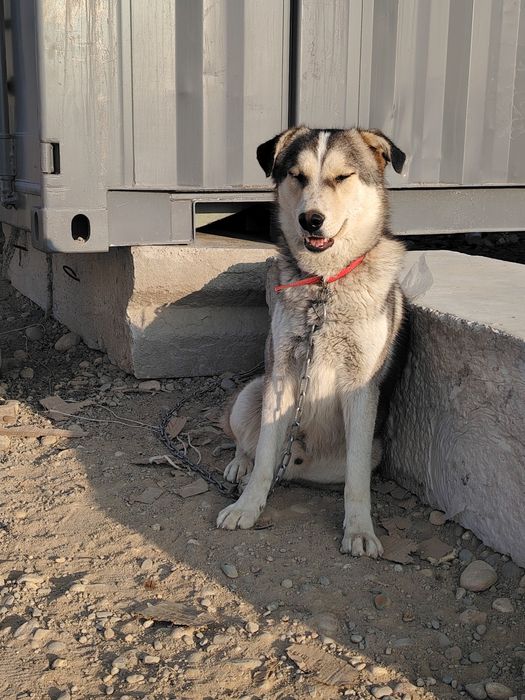 Мальчик, 1,5 года,