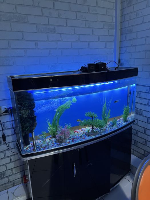 Akvarium sotiladi