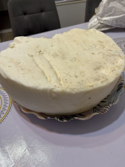 Продам қойдын майы (тоң майы)