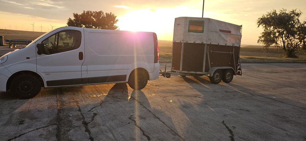 Transport animale, masini