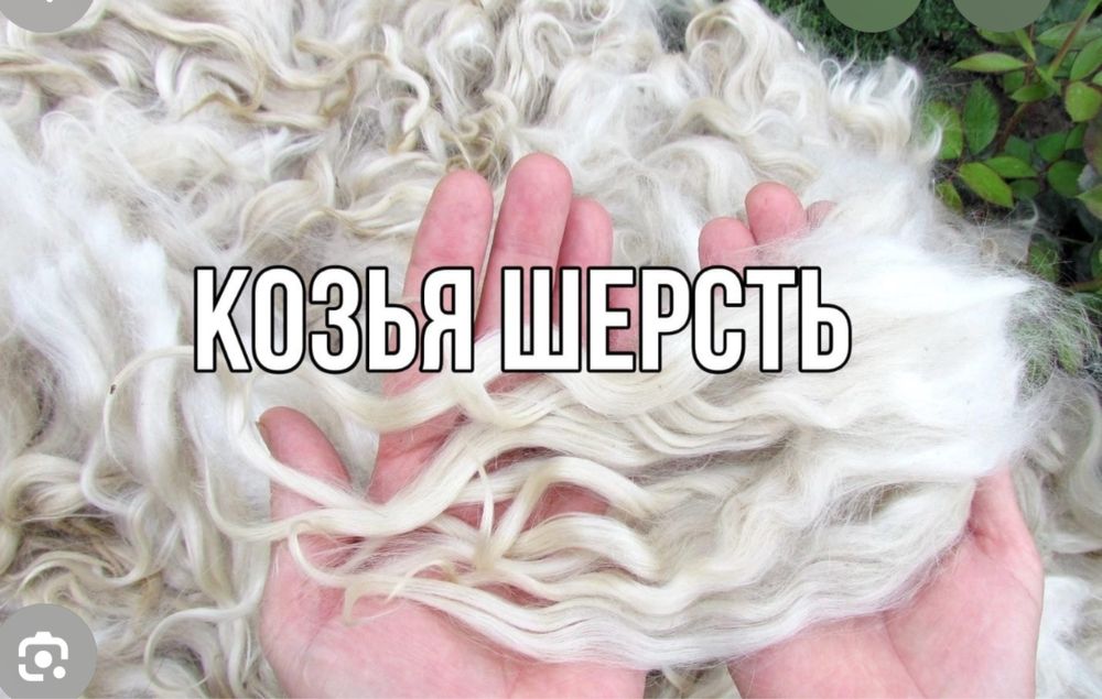 Прием шкур и шерсть козья !