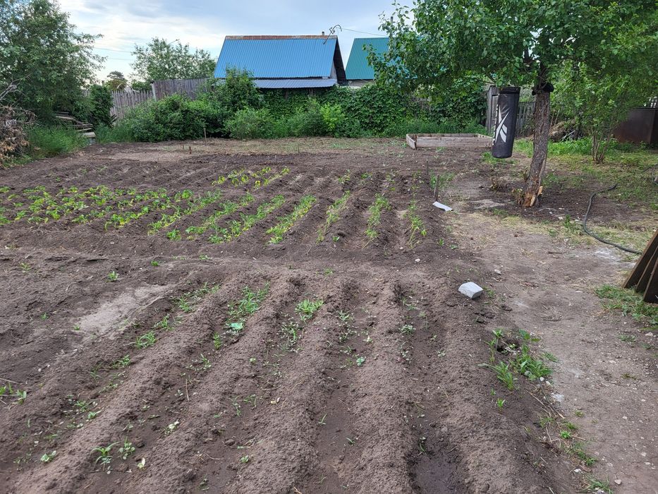 Продам дачу 8 соток