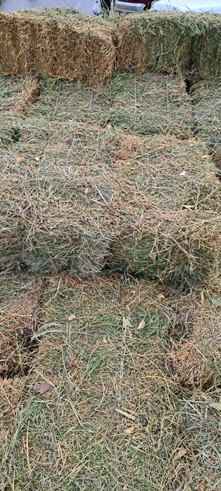 Беда прес сотилади