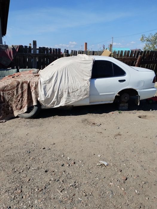 Две машины один как донера