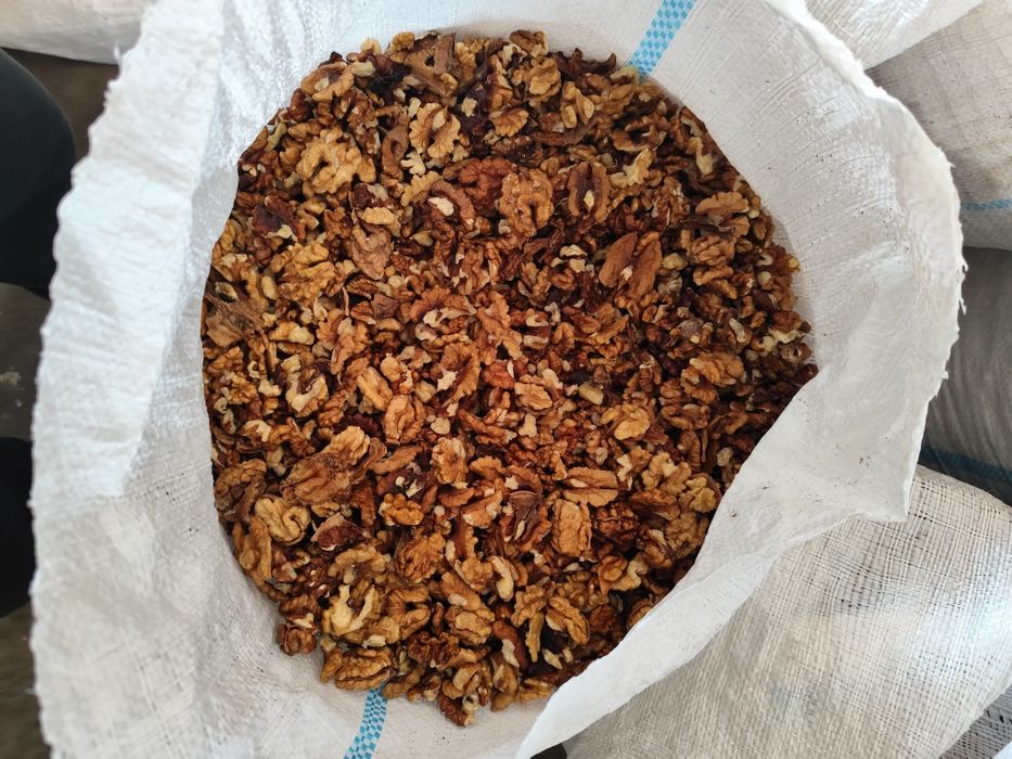 Nuca de vânzare 


,

producție 2024.