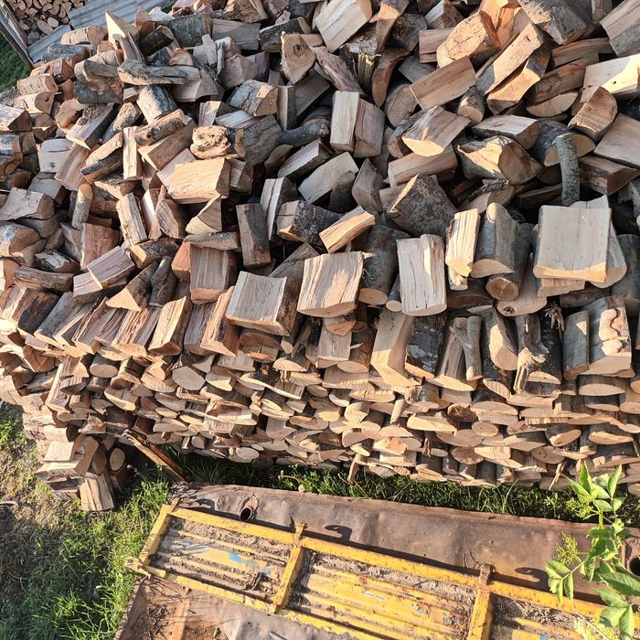 Lemne de foc fag capete uscate 600 lei tona