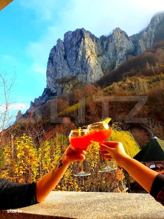 Casa de vacanta in inima naturii – Ramet, Valea Manastirii