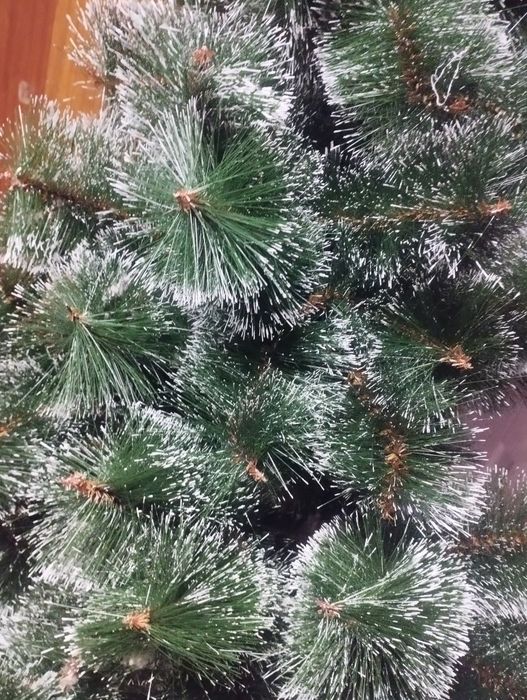 Продам ёлку 15000