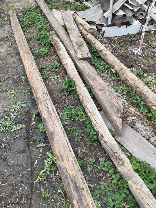 Дрова отдам бесплатно