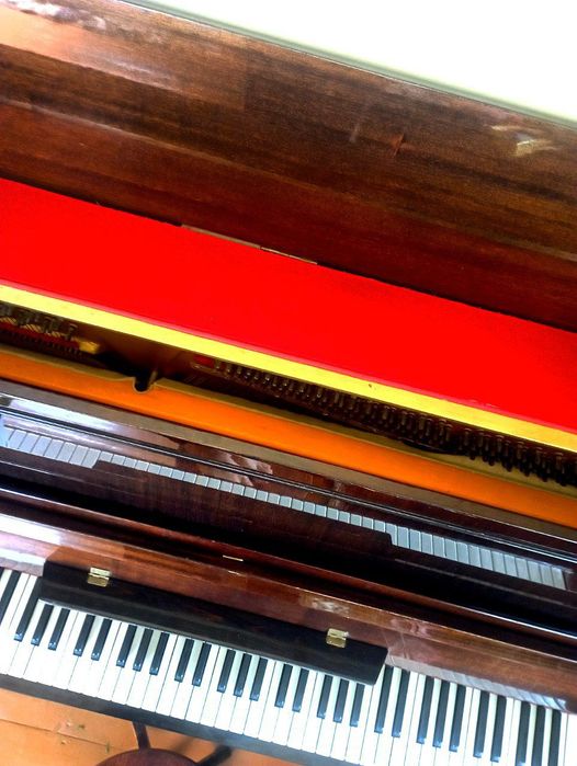 Продаем ледика пианино