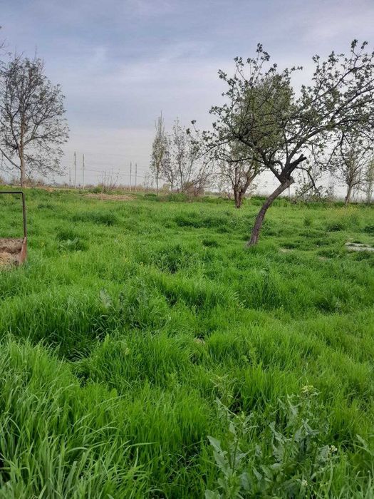 Yer sotiladi srochna