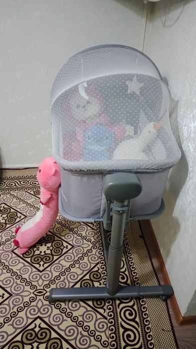 Электронный Манеж