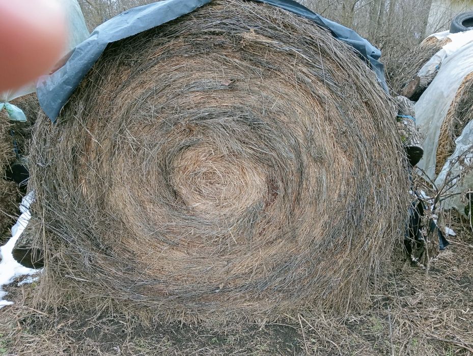 Baloti ovaz , iarba si lucerna a treia cosire