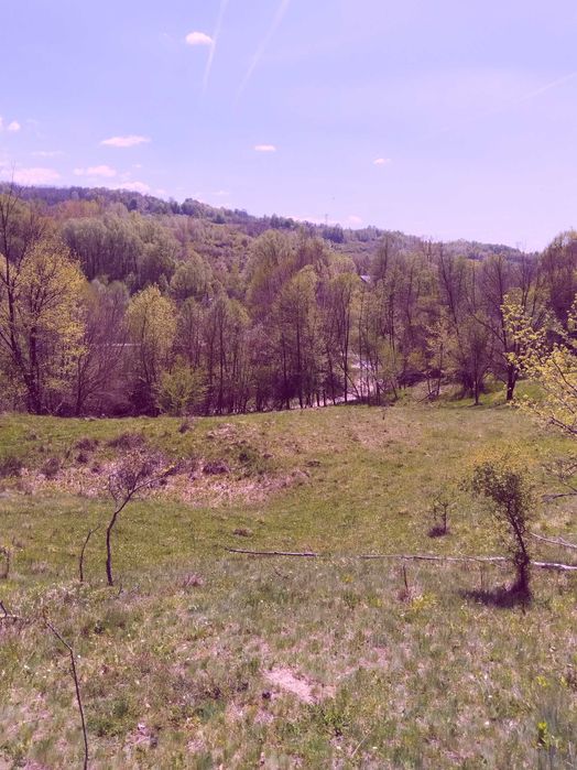 Teren de vis la munte – 7.795 mp – construibil – pârâu, pădure, fără vecini – Vâlcea
