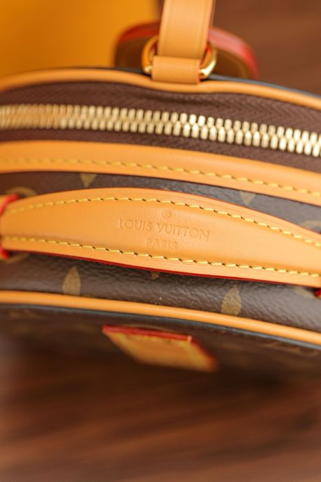 Geanta Louis Vuitton