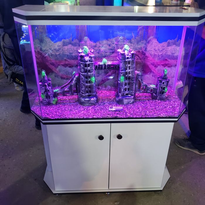 аквариум на заказ ремонт аквариум реставрация перевозки перестановка