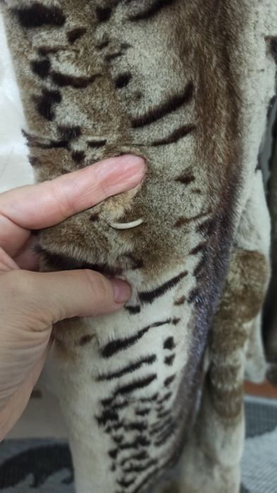 Продаю полушубок, рысь