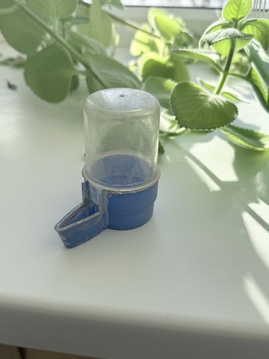 клетка для попугаев