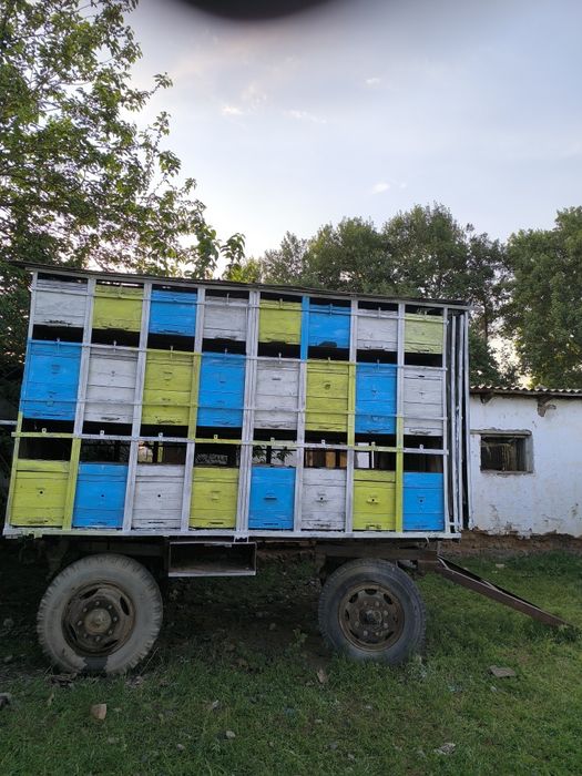 Асалариприцеп Пчелоприцеп