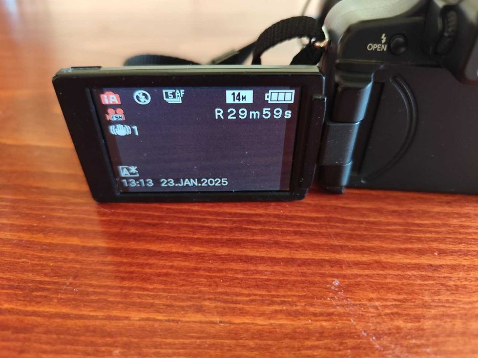 Panasonic Lumix DMC - FZ100