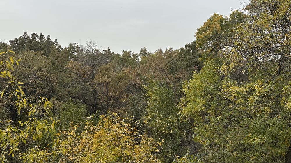 СВОЯ ЦУМ 2-комнатная