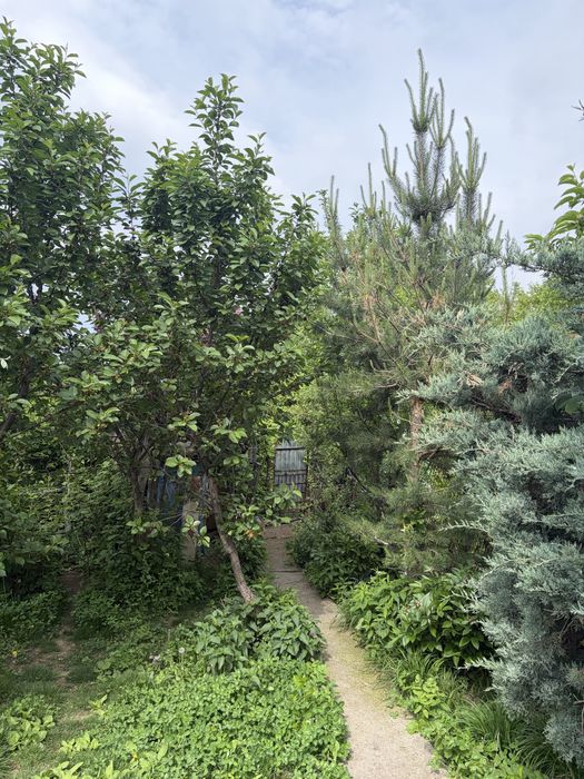 Продаем жилой Дом