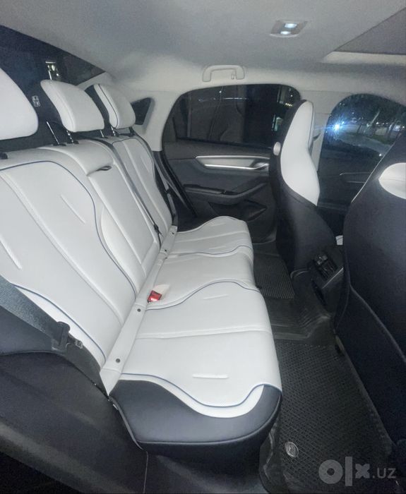 BYD Chazor 120 full