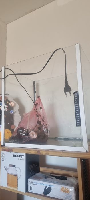 Аквариум аквариум