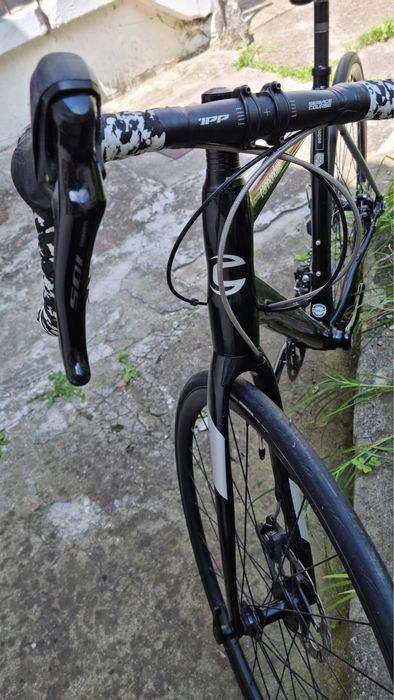 Cursiera Cannondale Synapse
