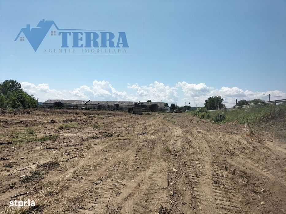 Teren intravilan 7.500 mp | DN73 | 4 km de Dacia Mioveni