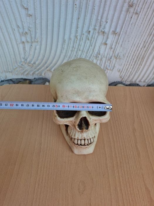 Реалистична статуетка на череп