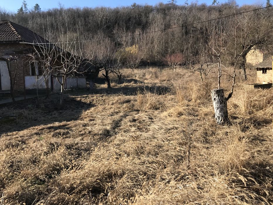 Косене на Трева Ниски Цени