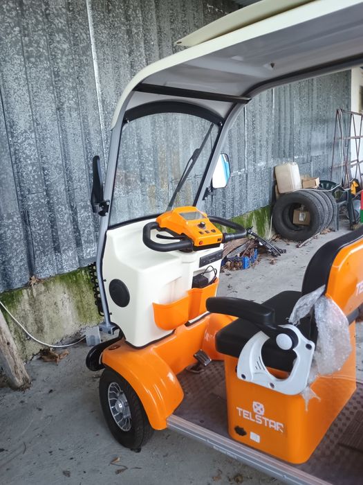 Електрическа голф количка