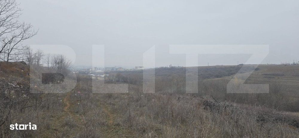 Teren intravilan, 10.000 mp, front peste 150 metri, zona Curtea Regala