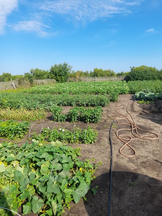 Продам дом село Вишневка