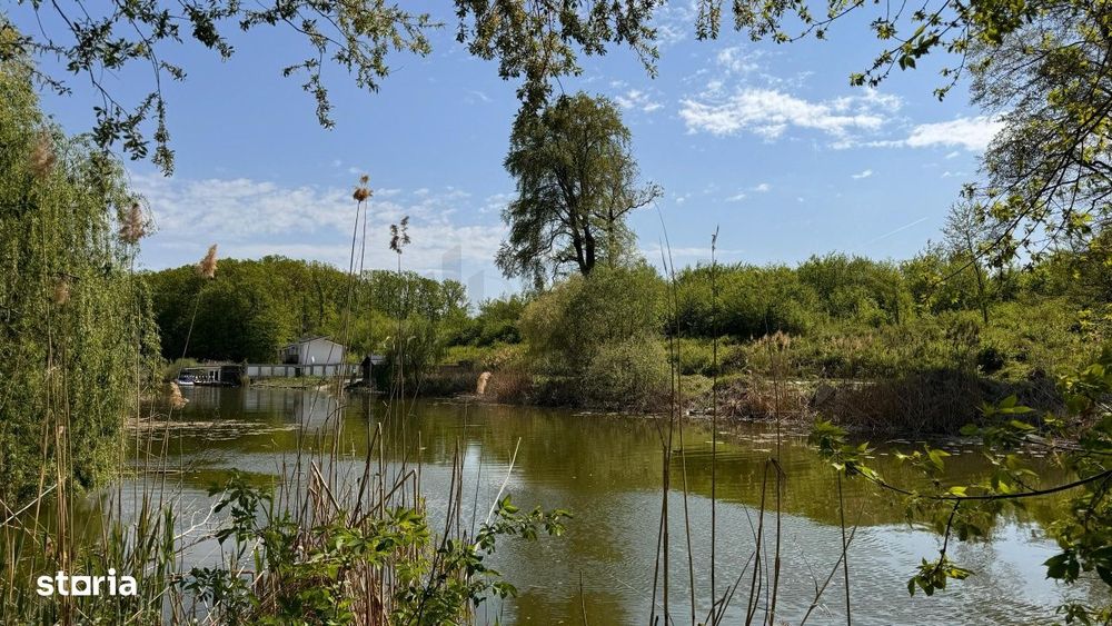 Teren Intravilan 15.840 mp Silistea Snagovului De Vanzare