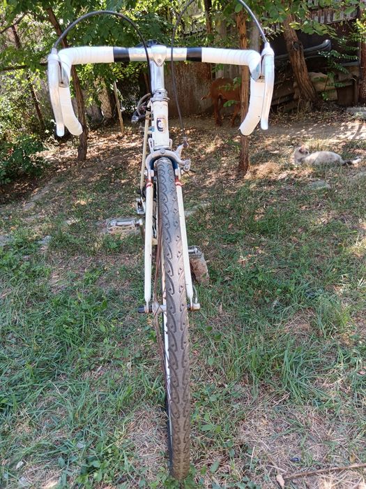 Cursiera Coga miyata cadru de otel